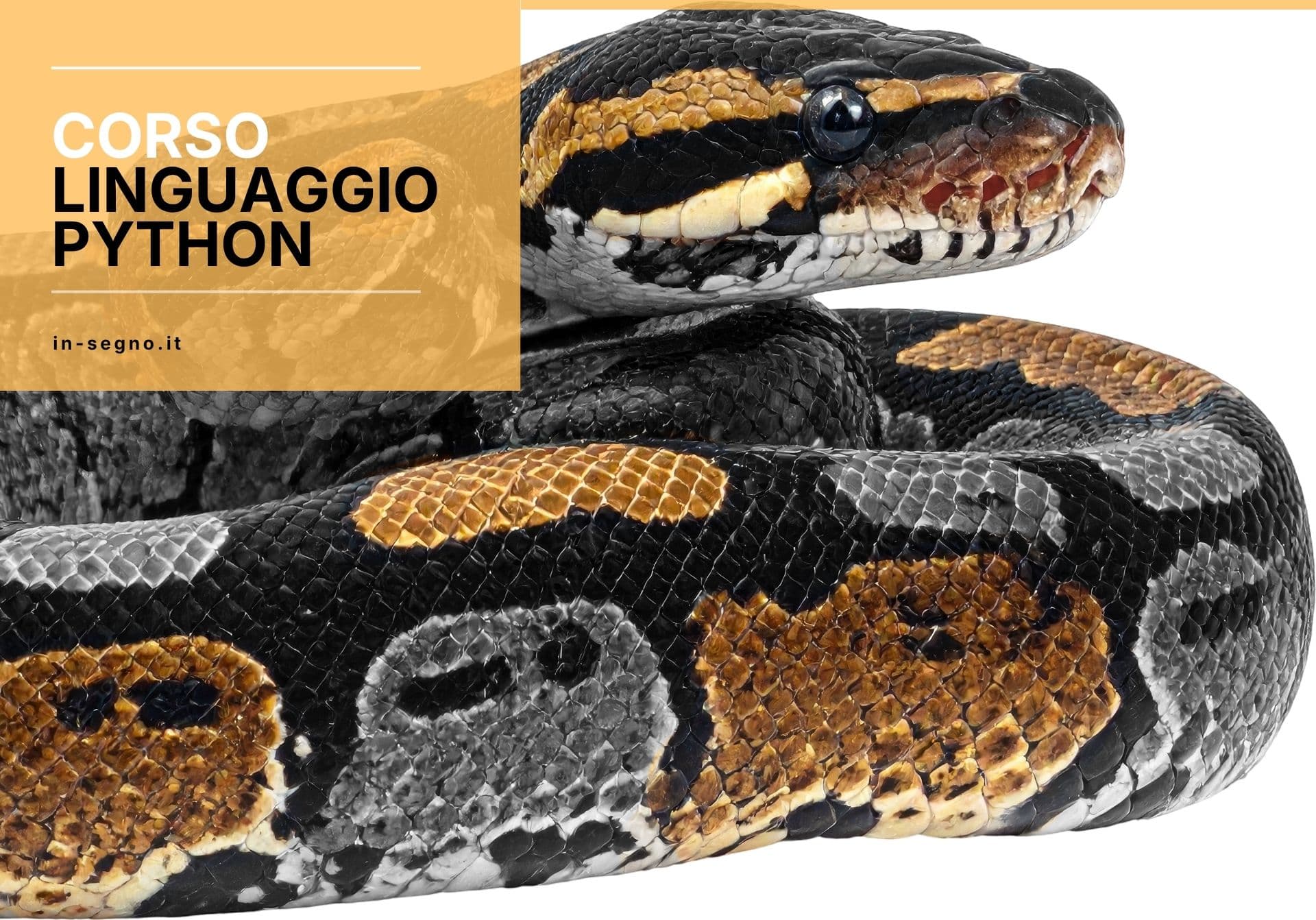 Corso Linguaggio Python