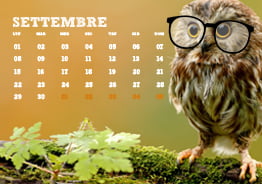 Come funzionano le date in Excel