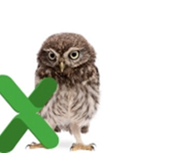 Menu a tendina con Excel