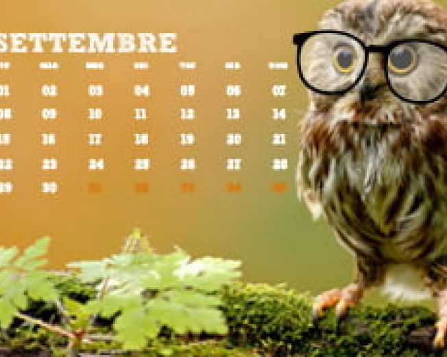 Come funzionano le date in Excel