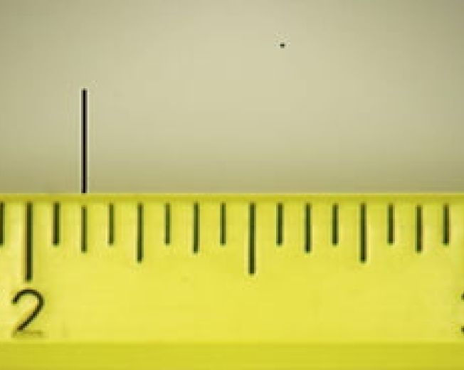 Word: tabulazioni e righello (Video)